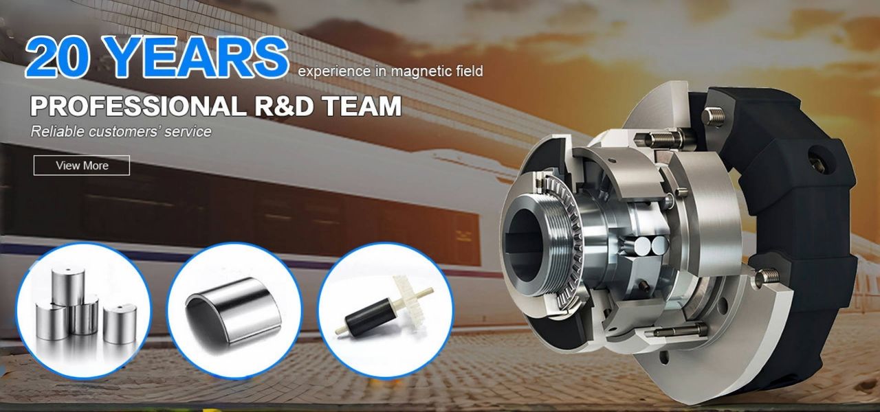 ネオジムの永久的な磁石