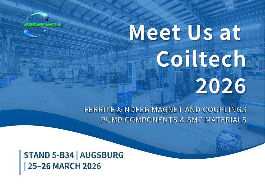 注文の永久的な磁気アセンブリ