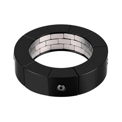 品質 カスタムパーマンマグネティックアセンブリを切る 黒の仕様 工業用アプリケーションと精密度のための磁気部品をカスタマイズする 工場